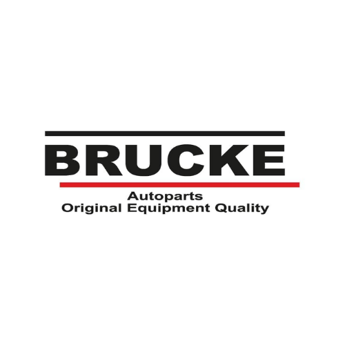 Brucke logo