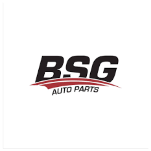 Bsg logo