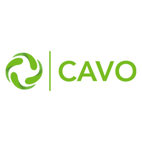 Cavo logo
