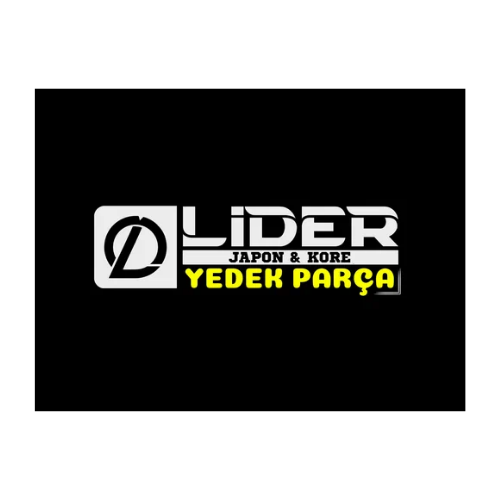 Lider logo